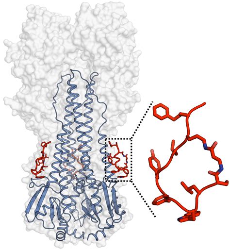 Scientists Develop Broad Spectrum Inhibitors Of Influenza Virus