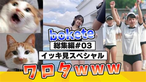 【イッキ見スペシャル】爆笑 殿堂入りした「bokete」が面白すぎる総集編【2chボケてスレ】【ボケて】 Youtube