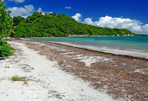 Plage De La Saline Le Gosier Guadeloupe Tourisme