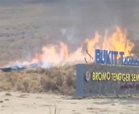 Bikin Resah Kebakaran Di Kawasan Bukit Teletubbies Gunung Bromo