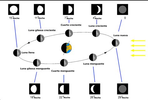 Relajado Dosis Embudo Calendario Lunar Hemisferio Norte