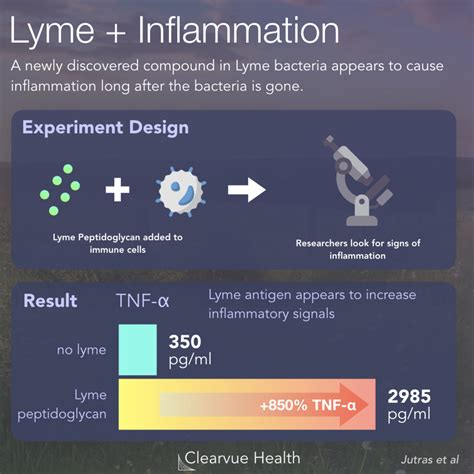 4 Charts | Mechanism for Chronic Lyme Arthritis | Visualized Science