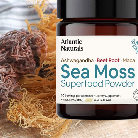 Sea Moss Powder What It Is And How It Benefits You