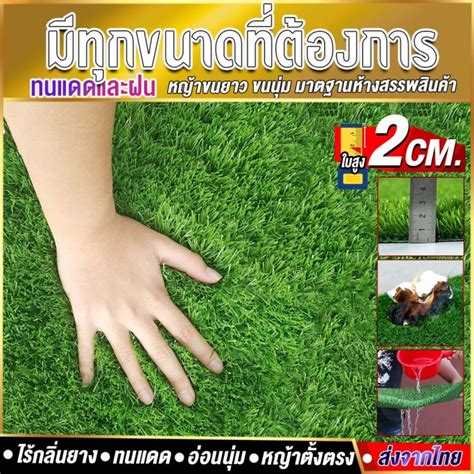 Size 1x4 Meters 4 Sqm Artificial Grass 2 Cm Good Quality Uv