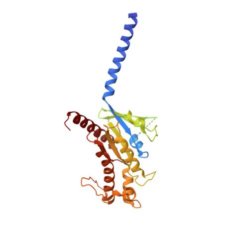 Rcsb Pdb Gg Cryoem Structure Of Beta Adrenergic Receptor In