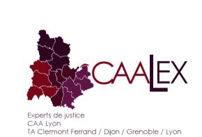 Tableau 2024 Des Experts De Justice Cour Administrative D Appel De Lyon