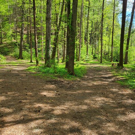 Creekside Camp | Reliance, TN
