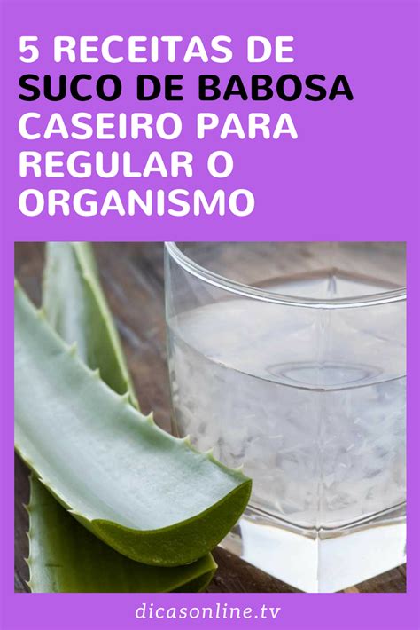 Suco De Babosa Caseiro Food Condiments Canning