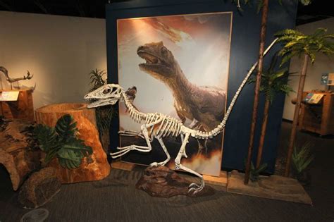 Dinosaur exhibit at the Dunn Museum – Shaw Local