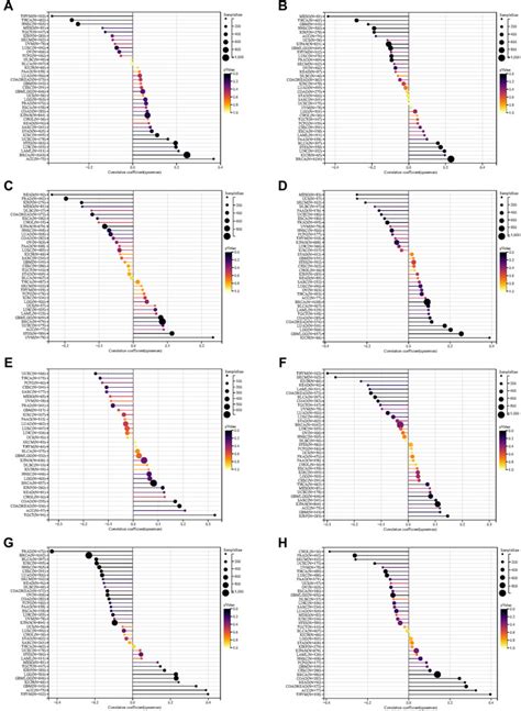 A Pan Cancer Analysis Of The Oncogenic And Immunological Roles Of