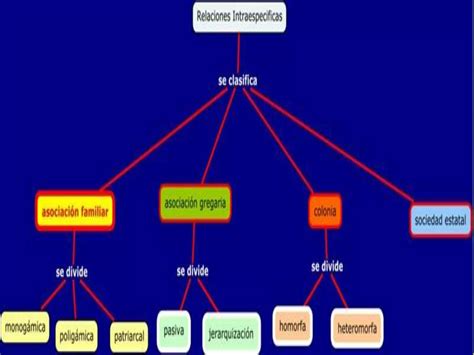 Relaciones Intraespecificas De Los Seres Vivos Abigail Paillacho Ppt