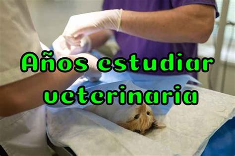 Cuántos años dura estudiar veterinaria 2024