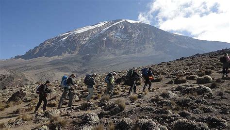 Mt Kilimanjaro Climb Lemosho Route — Sed Adventures Tours And Safaris