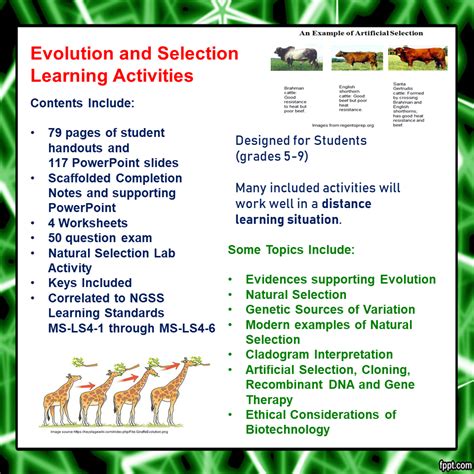 Free Printable Evidence Of Evolution Worksheets Worksheets Library