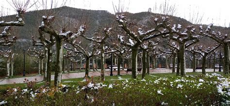 Nieve En Primavera Nieve Sol Y Nubes En Agoitz Eitb Eus Flickr