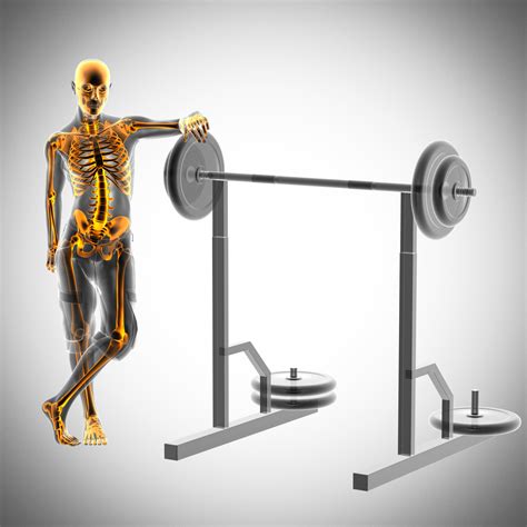 How to Keep Your Bones Strong - Factors That Keep Bones Healthy