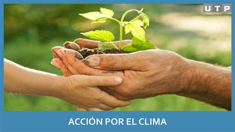 AcciÓn Por El Clima Pdf By Fabiola Flipsnack