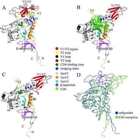Structural models. (A) Monomeric unliganded gp120. (B) gp120-CD4 ... 