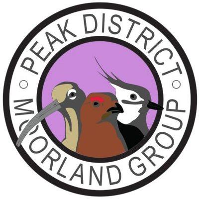 Peak District Moorland Group on Twitter: "Lapwing nesting on moorland for Driven Grouse Shooting ...