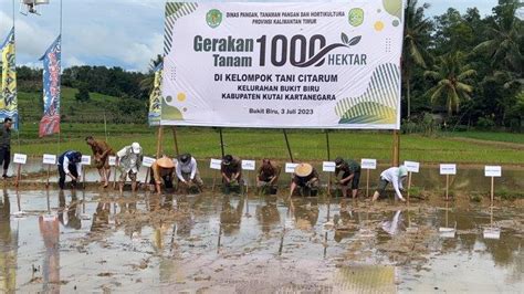 Kaltim Antisipasi Krisis Pangan Jelang Hadirnya Ikn Canangkan Gerakan