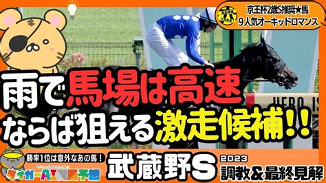 【武蔵野s最終結論】レッドルゼル、ペリエールの不安点を共有。調教、雨中のコース適性ばつぐんの穴馬2頭、有力馬を考えてみた！【競馬予想2023