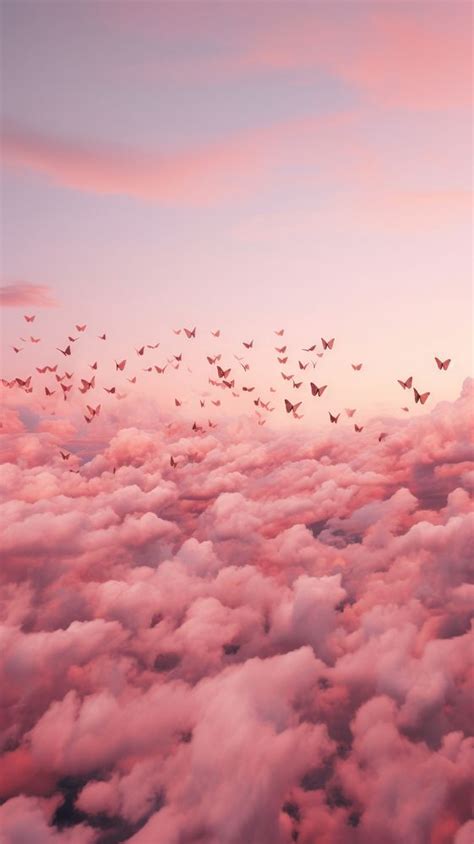 Butterflys pink aesthetic sky outdoors | Premium Photo - rawpixel