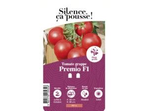 Tomate grappe Premio F1 Silence ça pousse