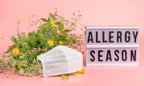 Conquering Seasonal Allergies Effective Strategies For Relief