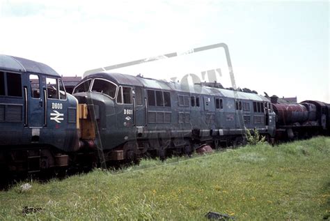 Rail Online Class 41 Nbl D600 Warship D601 1969 06 01 Barry