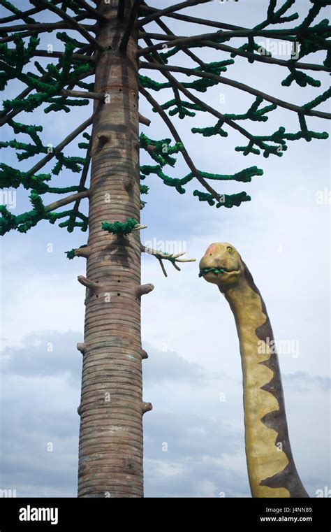 Replica Of Sauropod Camarasaurus Eating Leafs Of Araucaria Conifer Tree