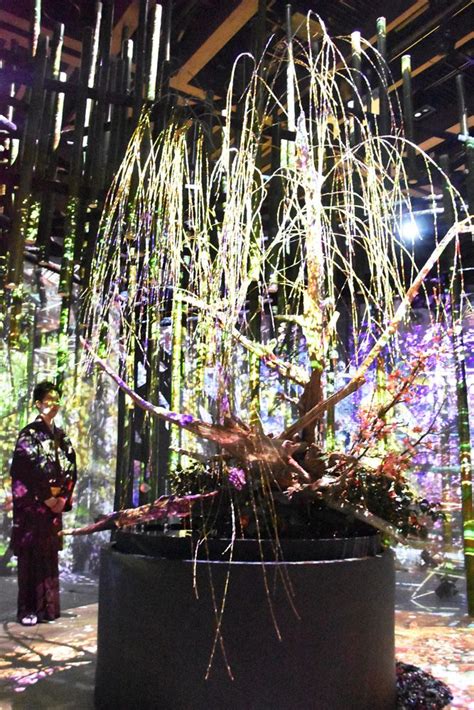 日本橋日本一早いお花見FLOWERS BY NAKED 1 29 火 開幕 最新技術を使った体感型アート空間 metropolitana tokyo メトロポリターナトーキョー