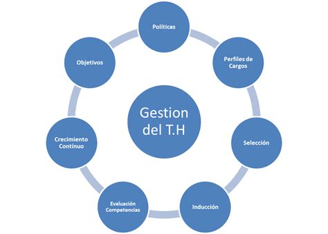 Qu Es La Gesti N Del Talento Humano Administraci N De Empresas
