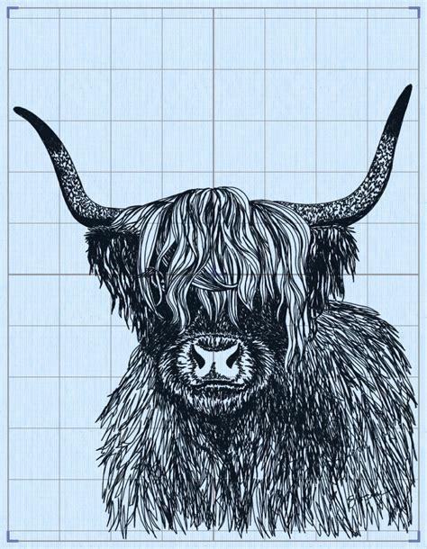 Highland Cow Machine Embroidery File Sketched Style Sizes Etsy