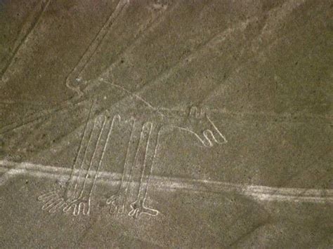 Descubren Nuevas Líneas En El Enigmático Conjunto De Nazca Perú