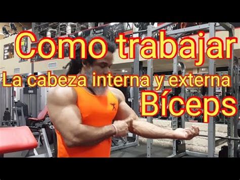 Como trabajar el bíceps Cabeza corta y larga YouTube