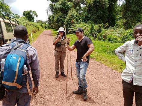 How To Buy Gorilla Trekking Permits In Uganda Kisoro Tours Uganda