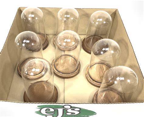 Lot 8 Glass Display Domes With Bases