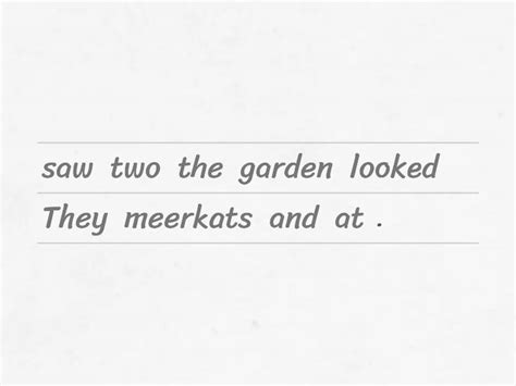 Meerkats Summary Sentences Unjumble