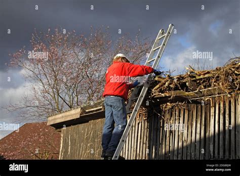 Alter holzschuppen Fotos und Bildmaterial in hoher Auflösung Alamy