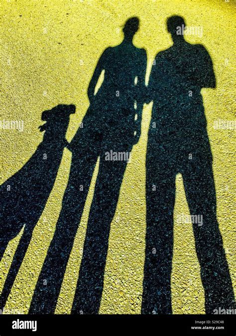 Walking The Dog Stock Photo Alamy