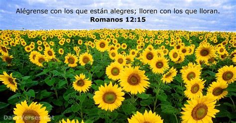 Romanos 12 15 Versículo de la Biblia DailyVerses net