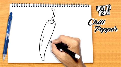 How To Draw Chili Pepper YouTube