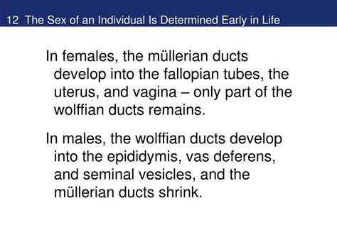 Ppt Sex Evolutionary Hormonal And Neural Bases Powerpoint