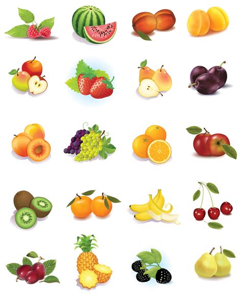 Set Of Fruits Vector Graphics Vector Download