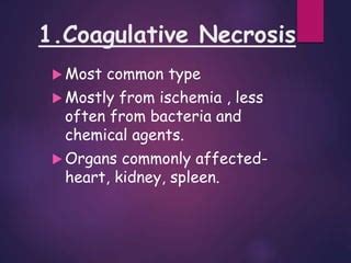 Cell injury-I Overview of cellular necrosis | PPT