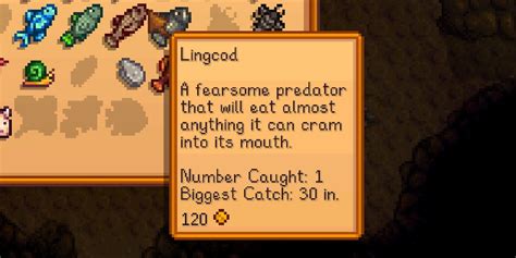 Stardew Valley: How to Catch Lingcod