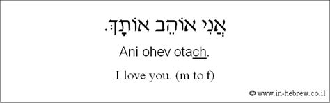 Learn Hebrew Phrases with Audio #173: I love you. ( m to f )