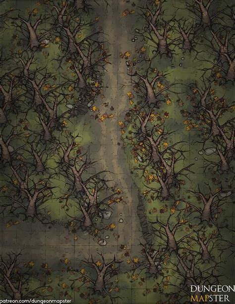 D D Dark Forest Map