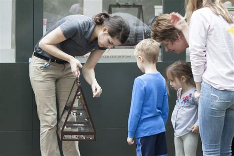 It's Back! Head to Meijer Gardens' Butterflies are Blooming 2024 for a ...