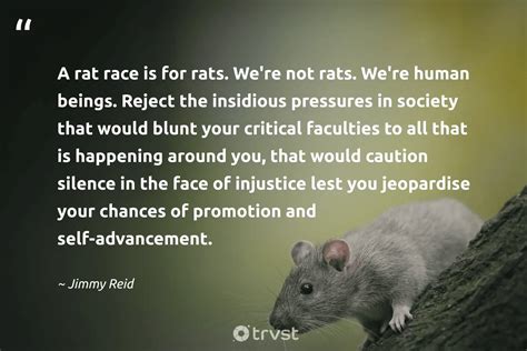 23 Rat Quotes About The Misunderstood Rodents